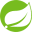 Java & Spring Boot logo